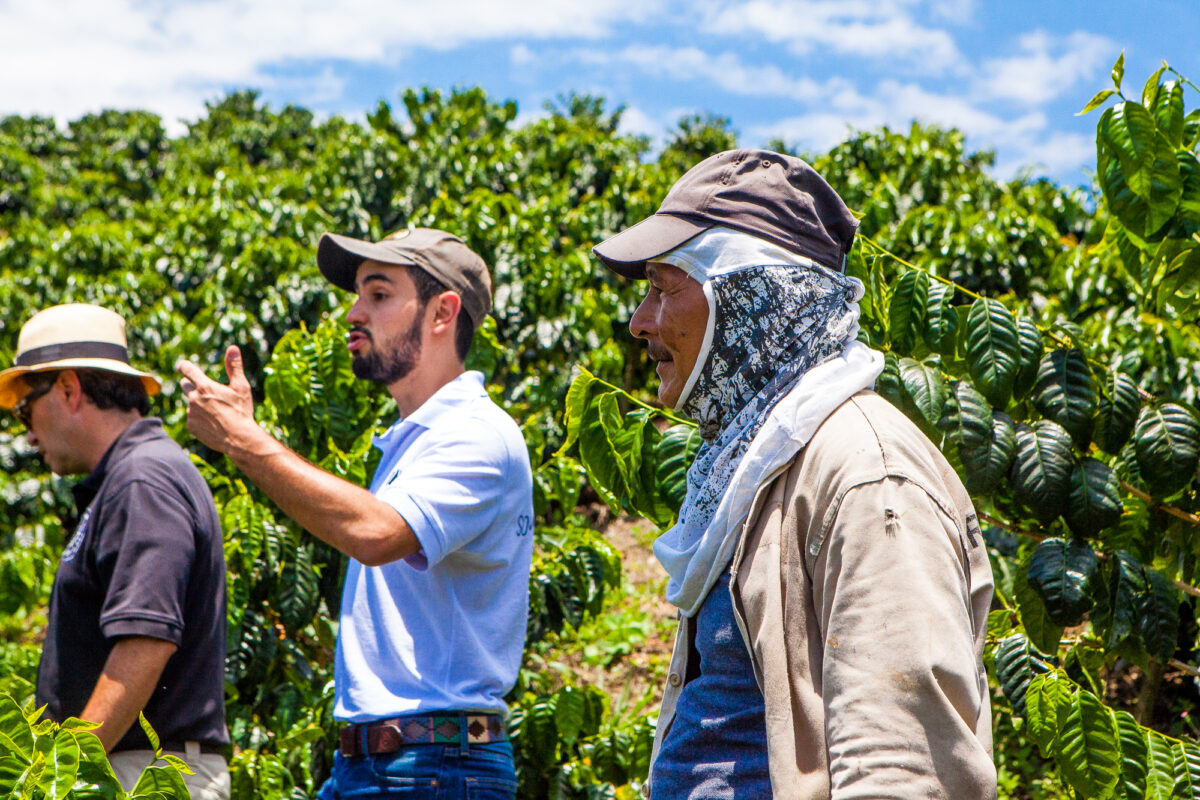 COLOMBIA REFOREST PROJECT 250GR - Image 3