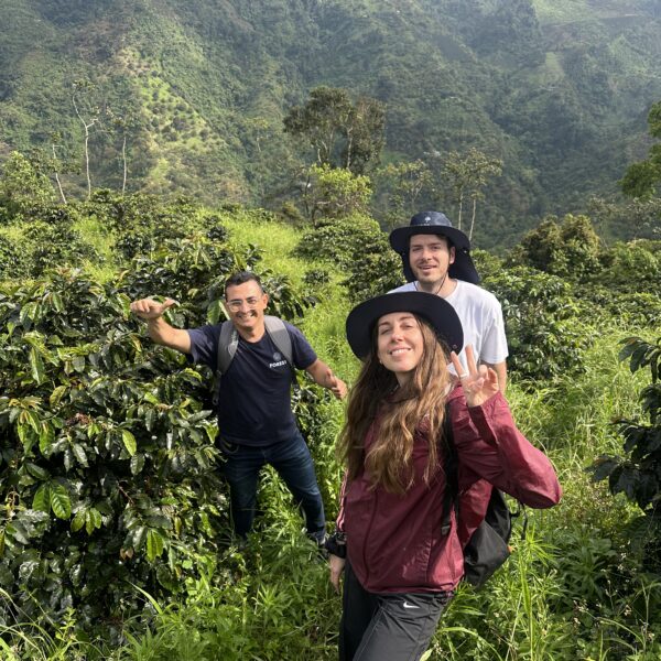 COLOMBIA REFOREST PROJECT 250GR