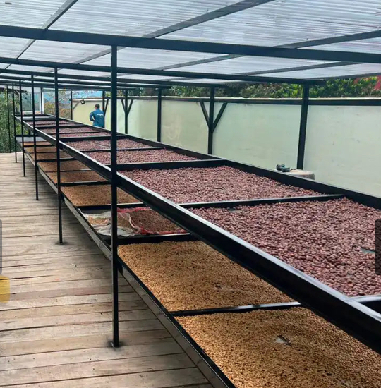 COLOMBIA LOW CAF 200GR