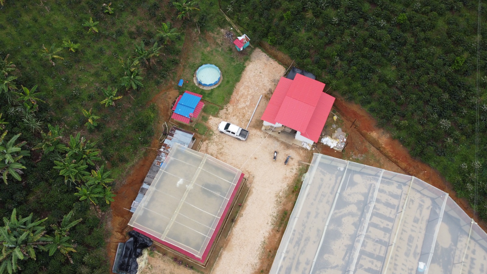 JUICY STRAWBERRY COLOMBIA 200GR - Image 4