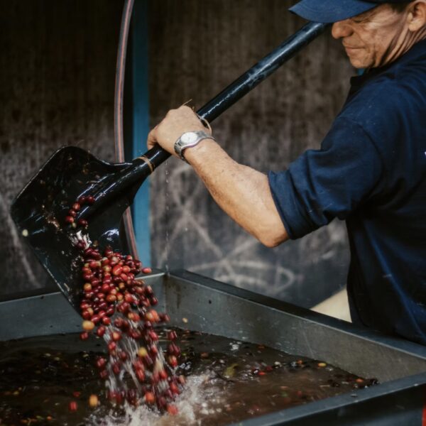 LOW CAF COLOMBIA 200GR