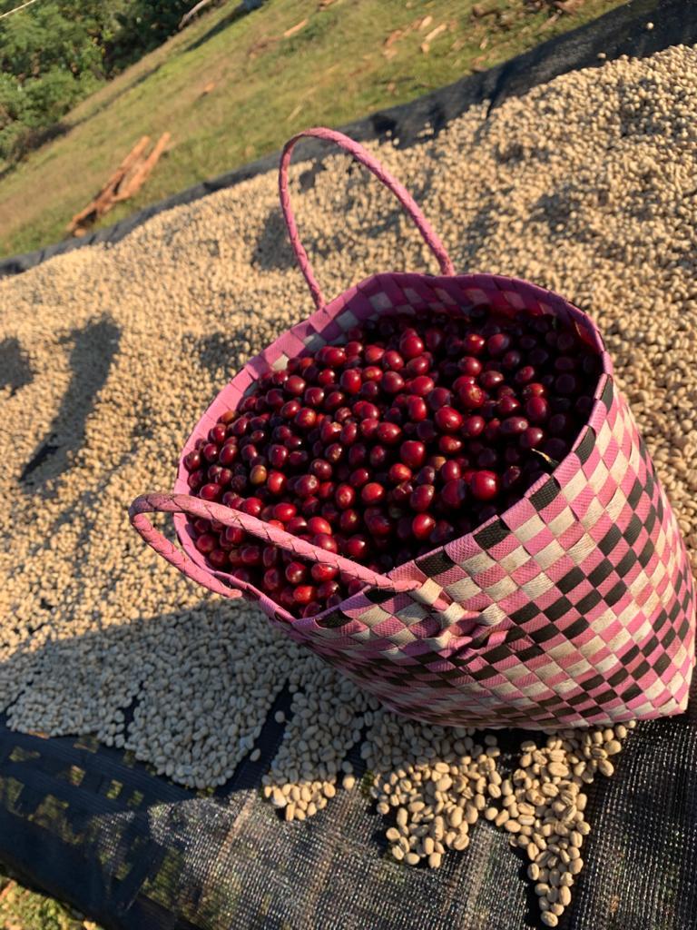 ETHIOPIA MAGARRISA NATURAL 250GR - Image 5