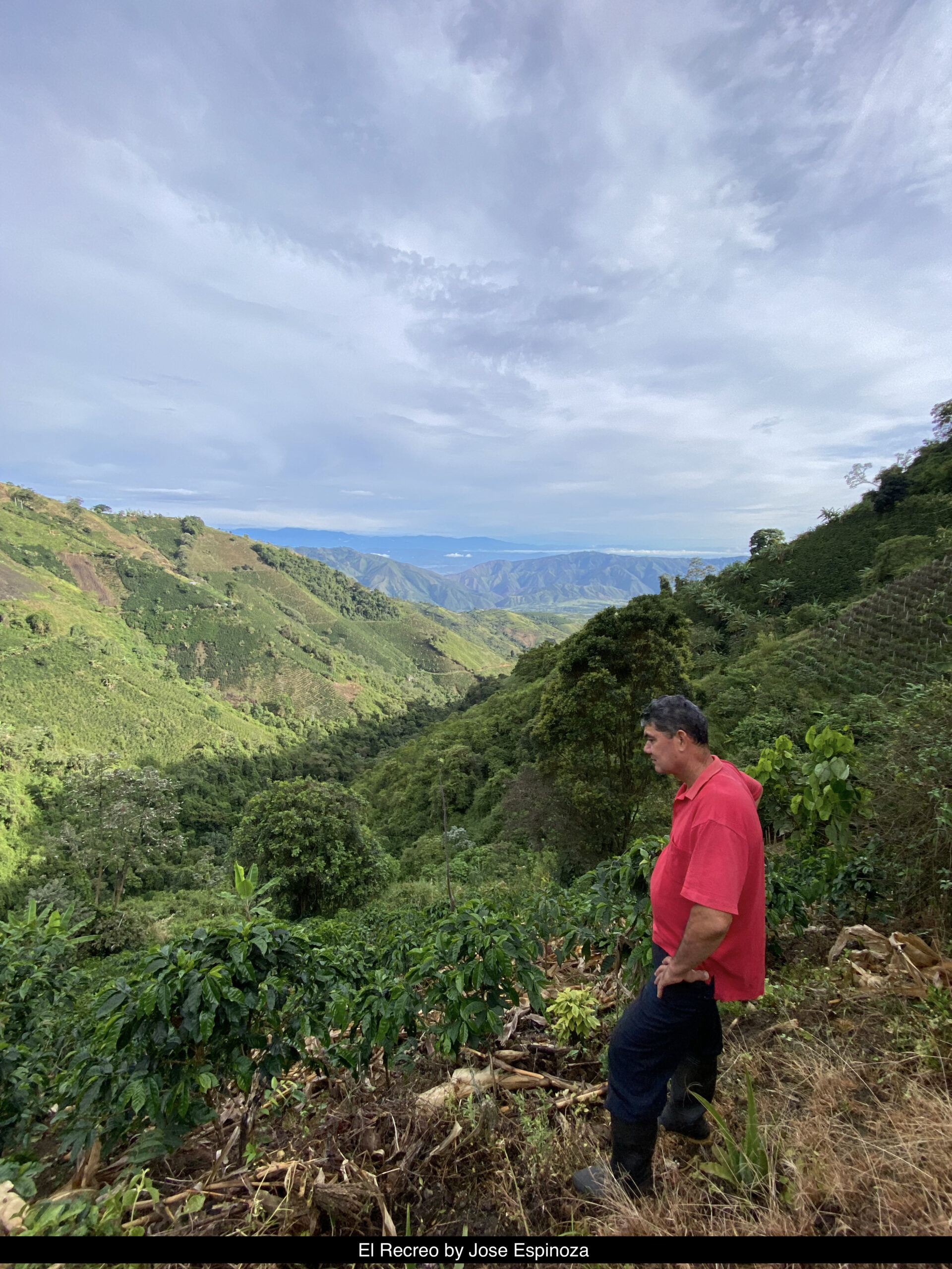 COLOMBIA PRIMAVERA BY RUBEN CORRA 200GR - Image 3