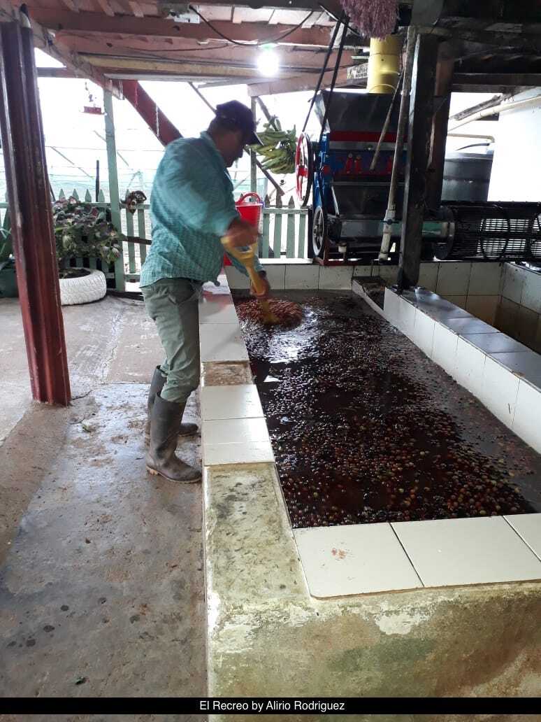 COLOMBIA PRIMAVERA BY RUBEN CORRA 200GR - Image 6