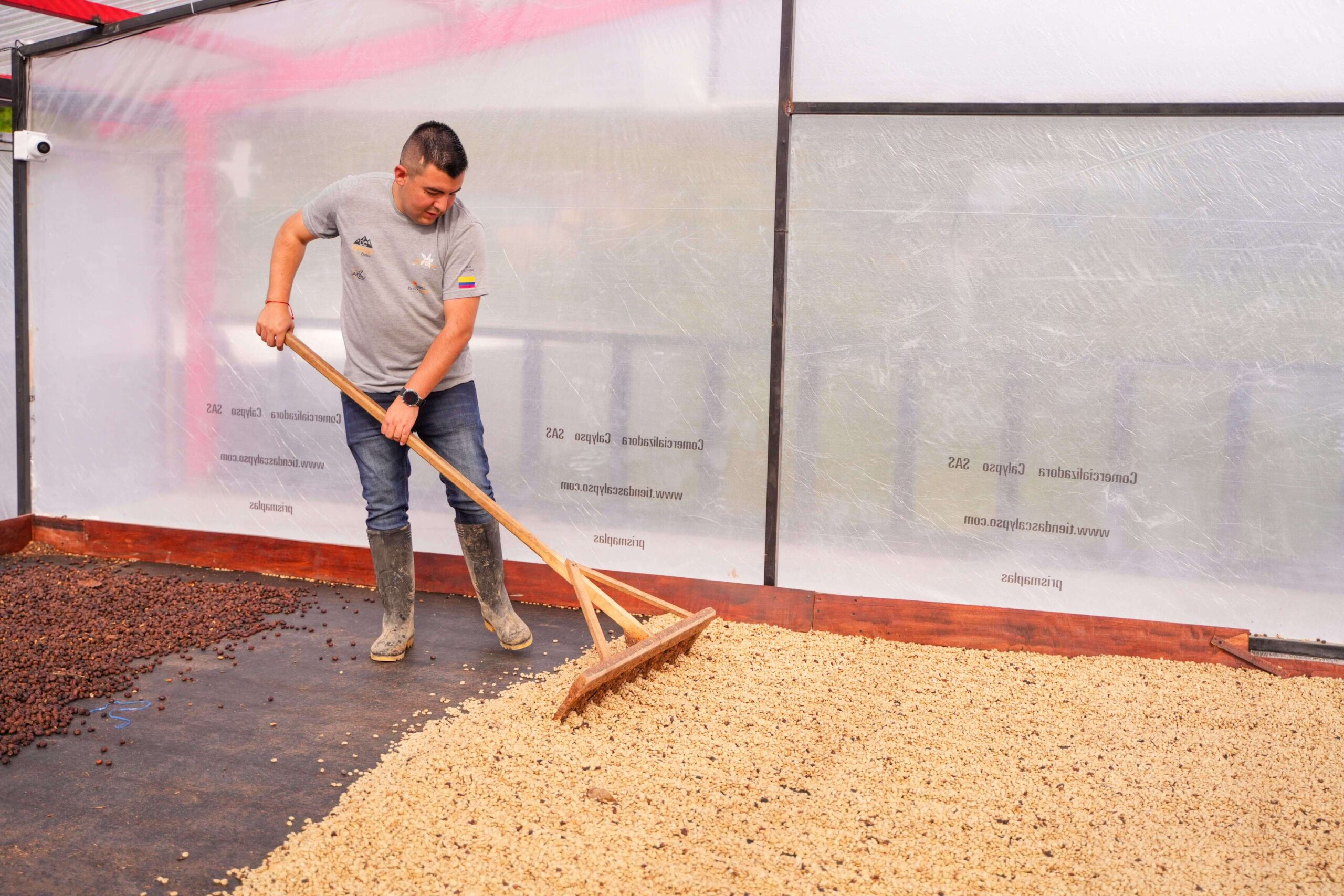 SIDRA LAS FLORES 200GR - Image 2