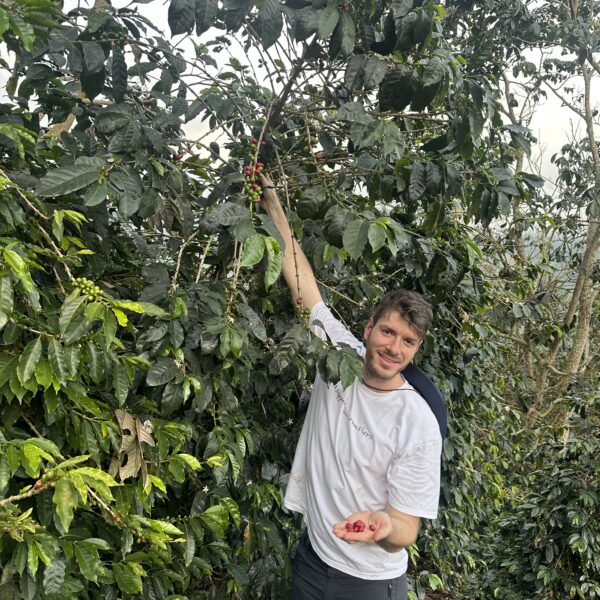 GUAVA BANANA